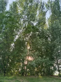 风与你刚好