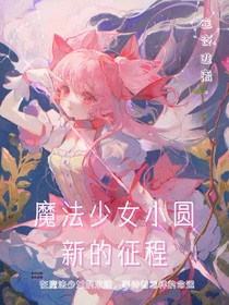 魔法少女小圆：新的征程