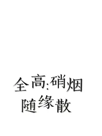 全高同人：硝烟随缘散