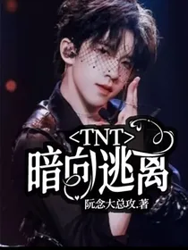 TNT：暗向逃离-d447