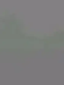 丧尸感染者