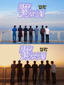 限定复仇计划