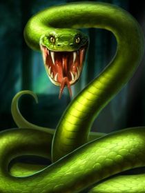 蛇灾惊魂之亚马逊从林