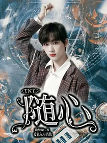 TNT：随心