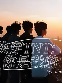 快穿TNT：你是我的