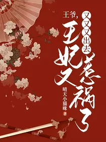 王爷，王妃又又又又出去惹祸了