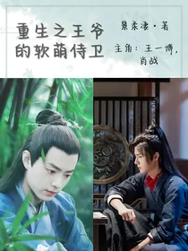重生之王爷的软萌侍卫