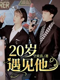 20岁遇见他