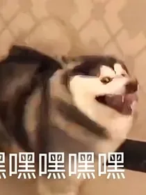 江秦