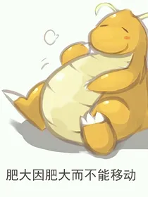 我的宝可梦有问题