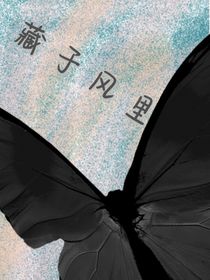 藏于风里