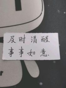 独醒