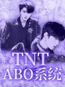 TNT：ABO系统