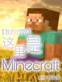 我的世界：这里是minecraft