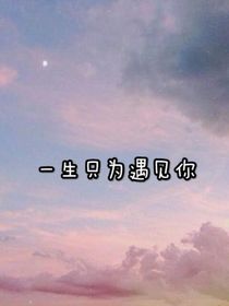 一辈子只为遇见你
