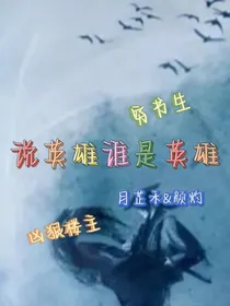 说英雄谁是英雄：武功高强楼主和书生