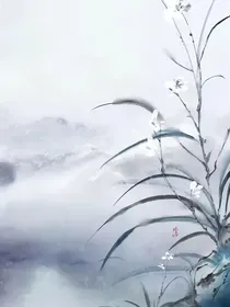 顾盼天下不如枫林归处