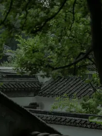 明月向我