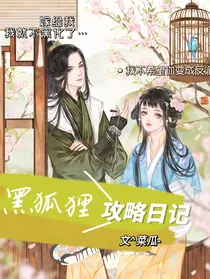 传书——黑狐狸攻略日记