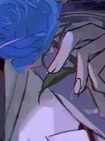 抄录晓寂