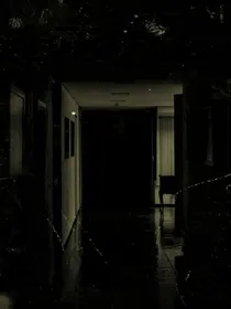 无声的罪名