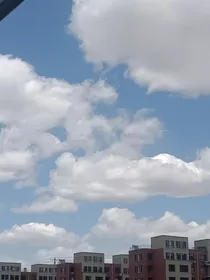 再看看我吧