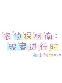 名侦探柯南：破案进行时