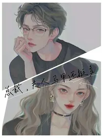 总裁，夫人马甲还挺多