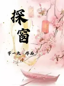 探窗啊