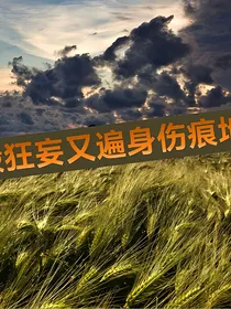 HP剥去尖利的外皮