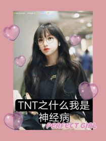 TNT之什么我是神经病