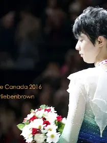 羽生结弦：风车二三里