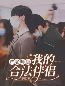 严老师是我的合法伴侣