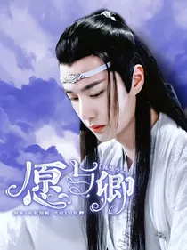 陈情令之愿与卿