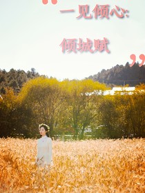 一见倾心：倾城赋