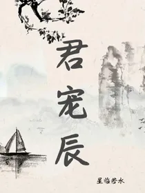 君宠辰
