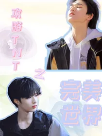 攻略TNT之完美虚拟世界