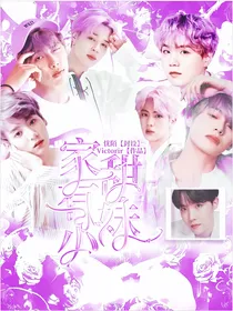 BTS之家有小甜妹