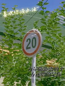 岁暮归南山，你归我