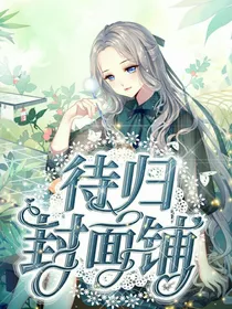 待归封面铺（关铺）