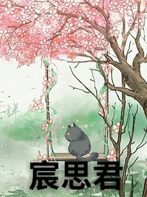 宸思君