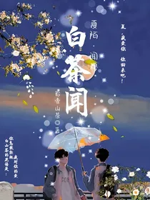 白茶闻