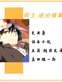 网王：琥珀情事