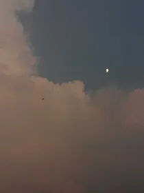 我的梦领域什么都有