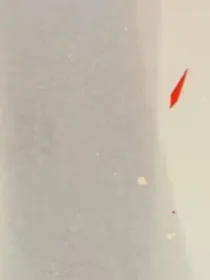 OC世界：戏精大佬封心了
