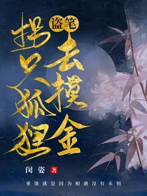 盗笔：拐只狐狸去摸金