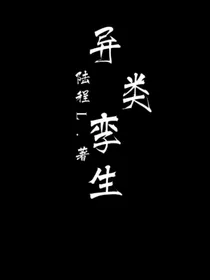 异类孪生