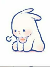 作者说（必看）