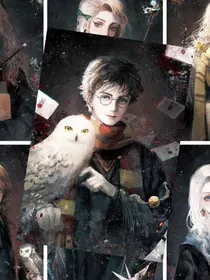 HP：救世主的光