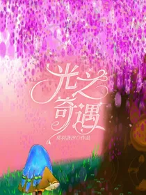 光之奇遇